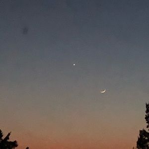 Meet your Posher, Macey